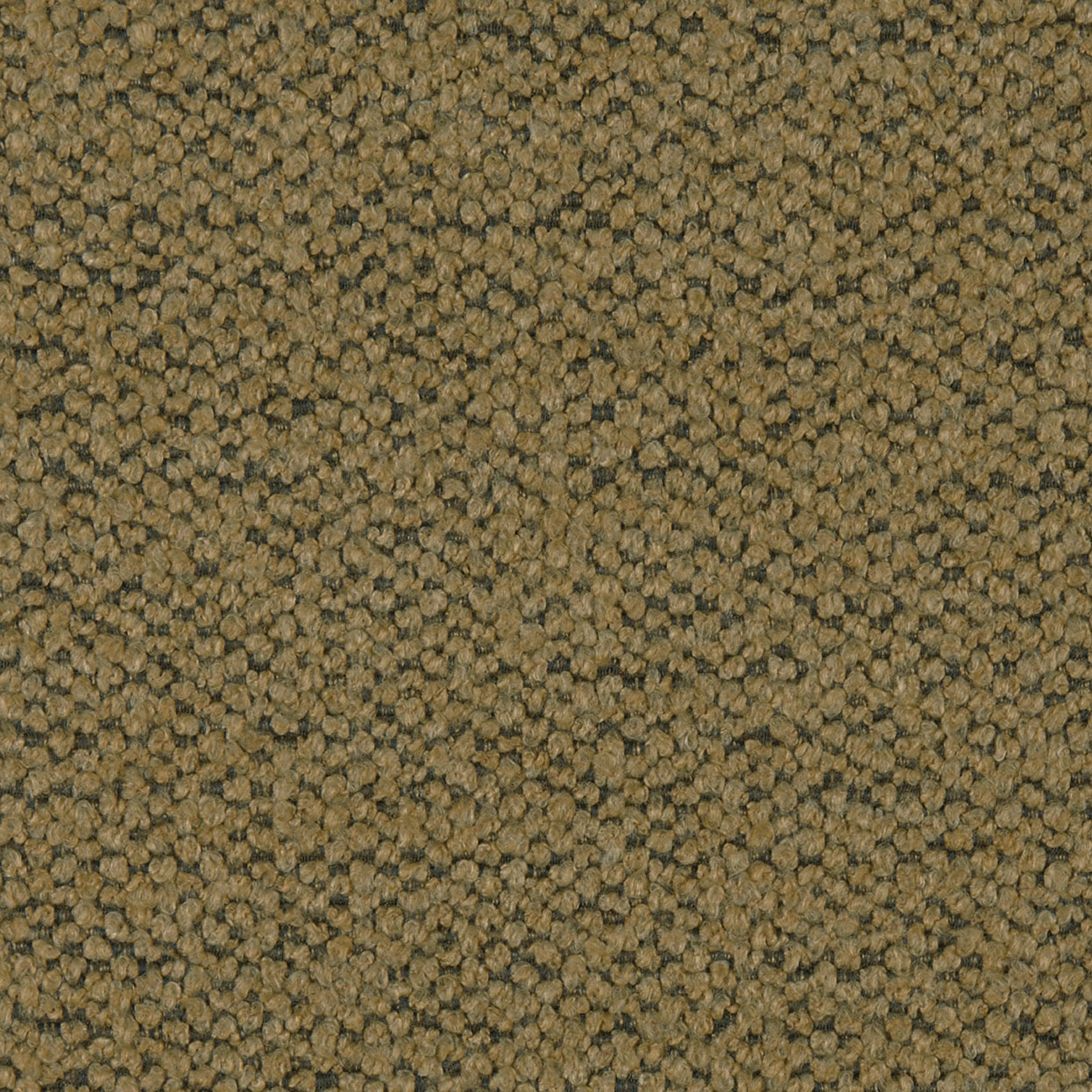 Cameo_3465_020_Fawn_LCrop_Opt