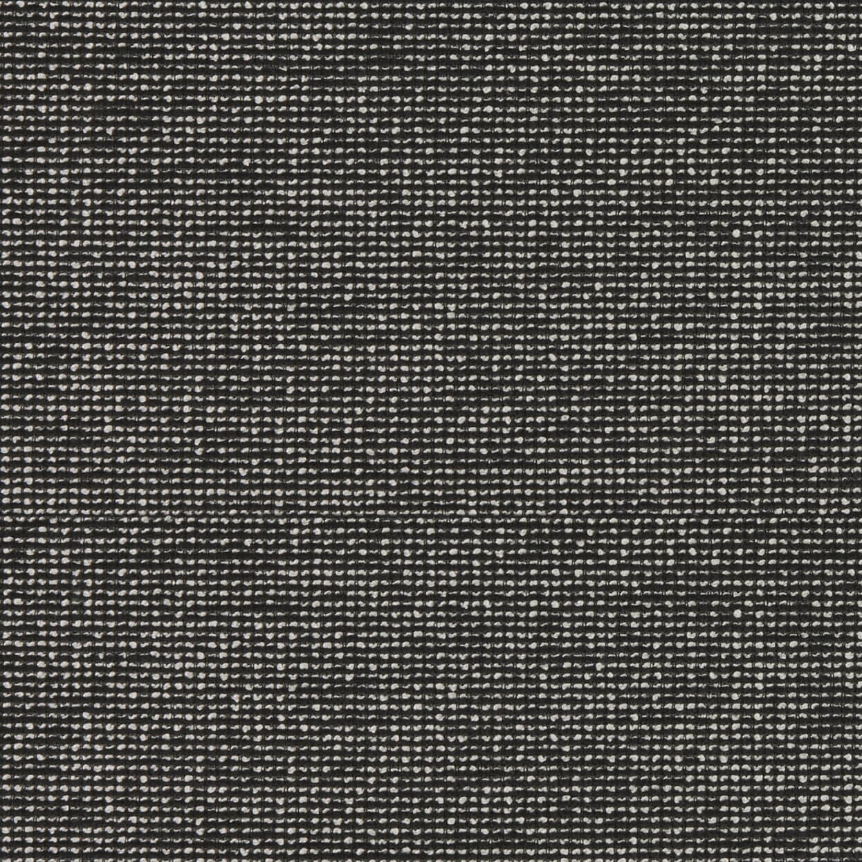 Hero_3463_011_Carbon_LCrop_Opt