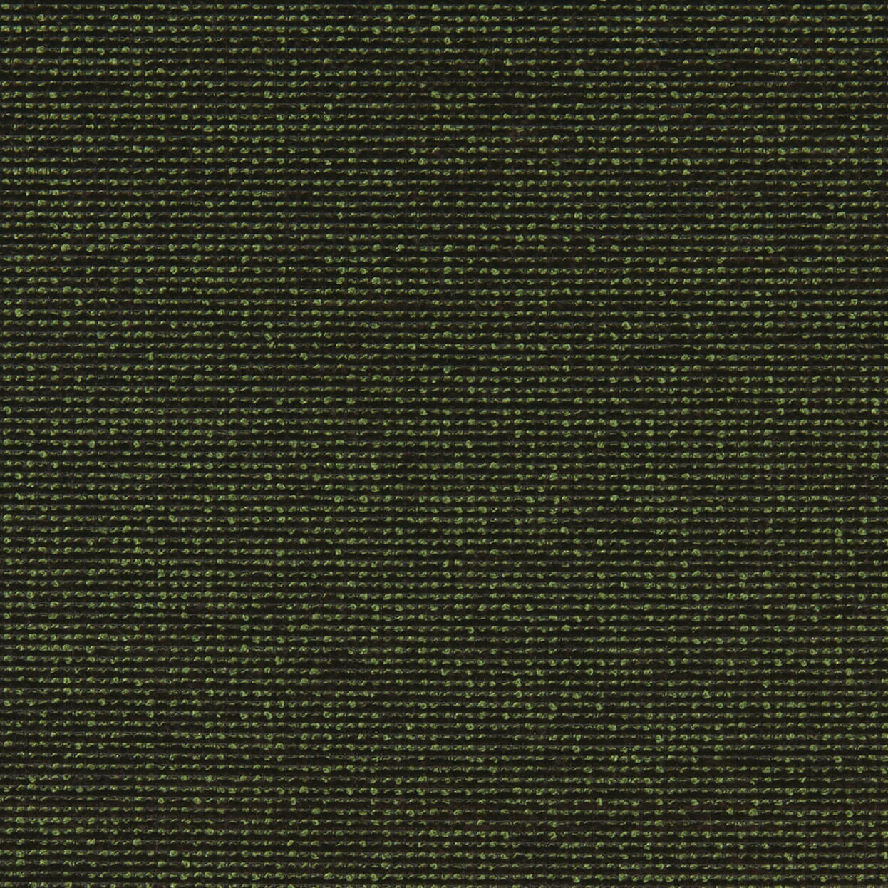 Hero_3463_033_Verde_LCrop_Opt