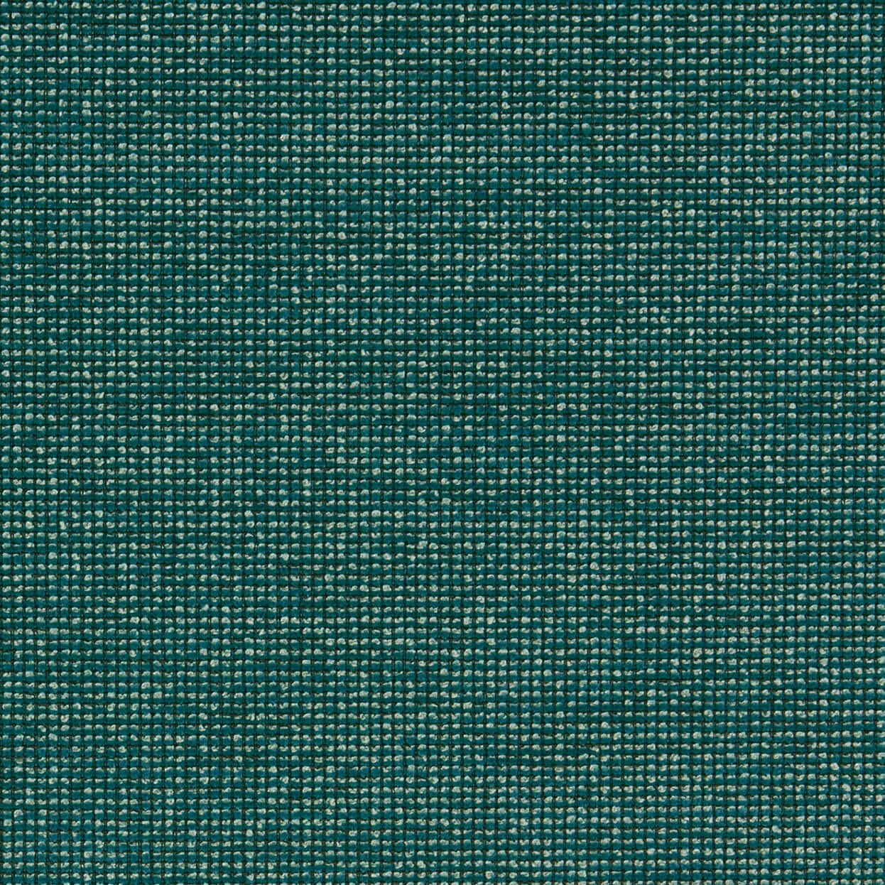 Hero_3463_043_Surf_LCrop_Opt