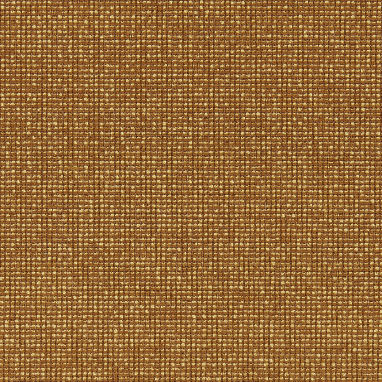 Hero_3463_052_Amber_LCrop_Opt