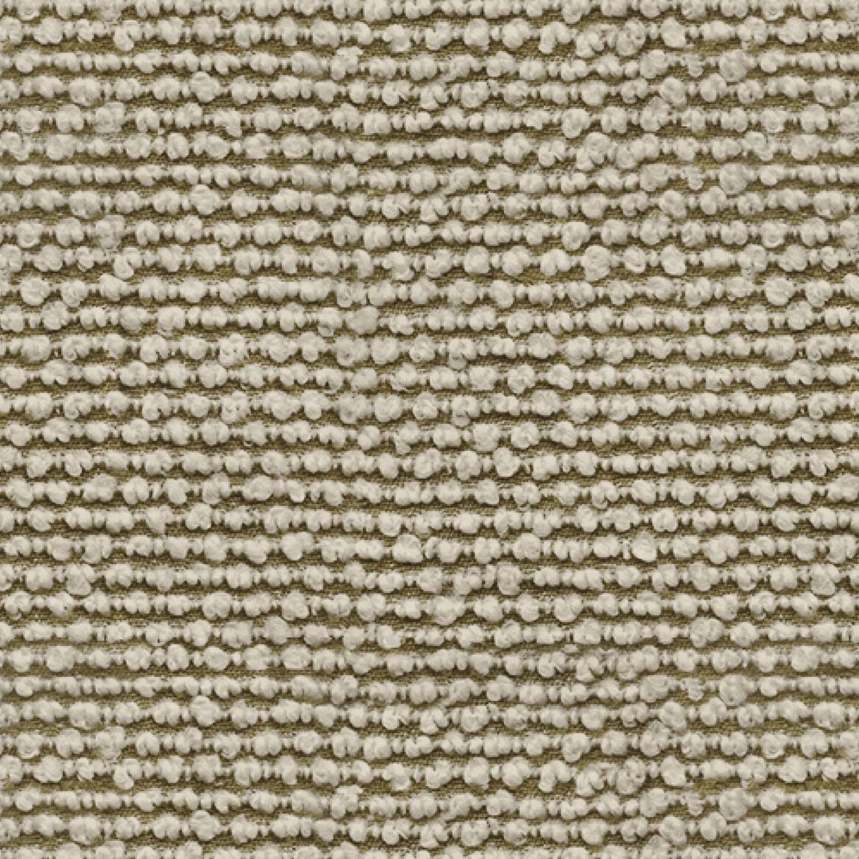 Muse_3454-022_Birch_40x40_LCrop_OPT