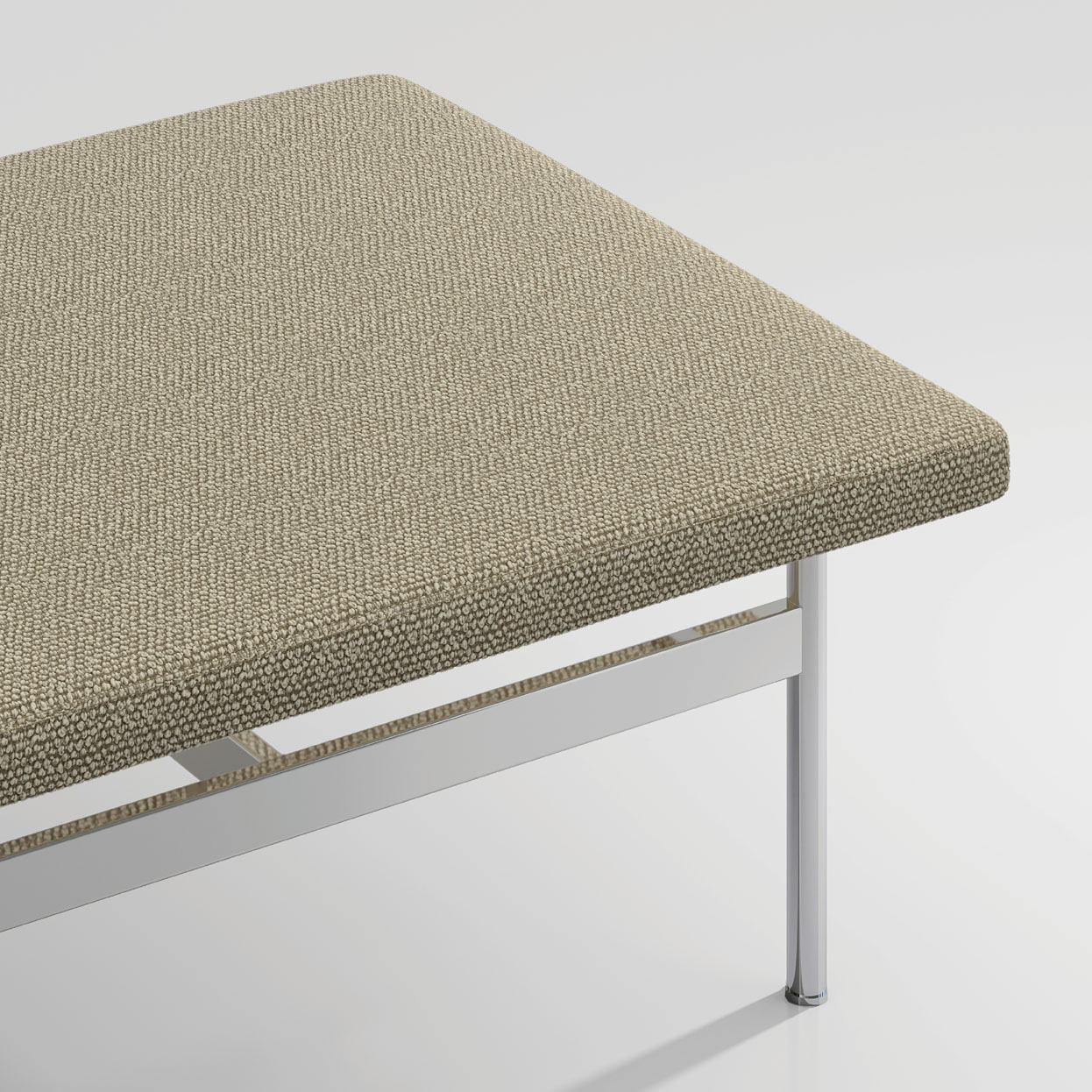 Muse_3454_Birch_022_Application-1