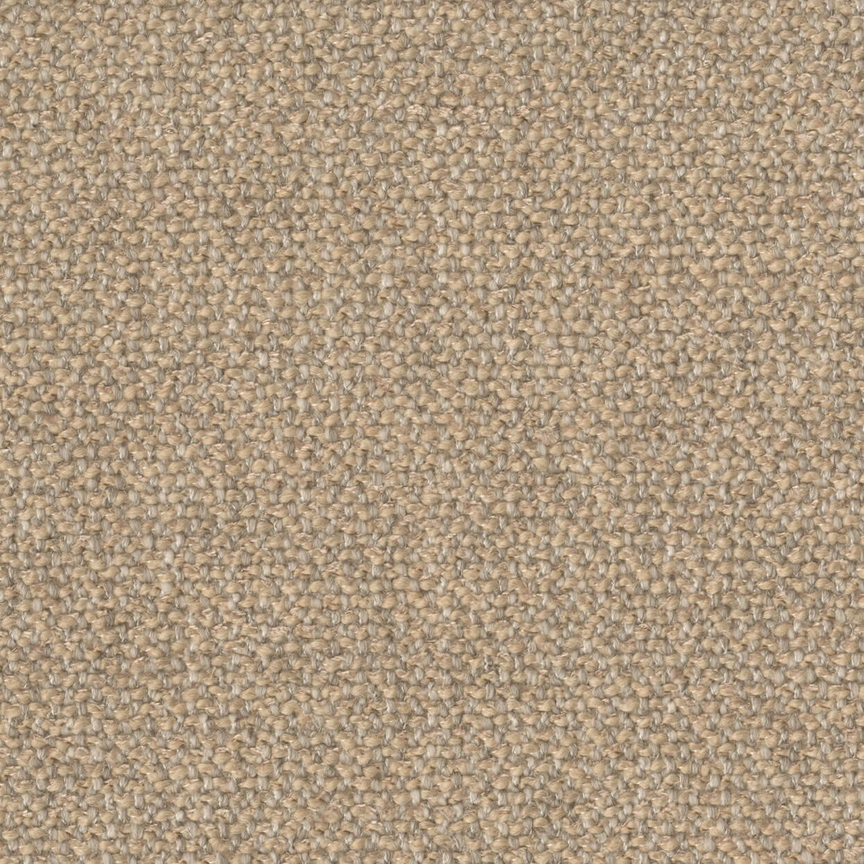 Imprint_3508-002_Birch_LCrop_OPT