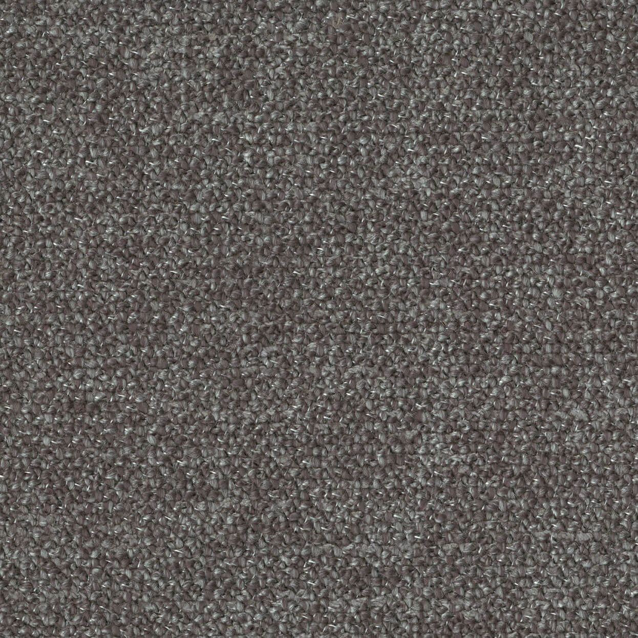 Imprint_3508-012_Shark_LCrop_OPT