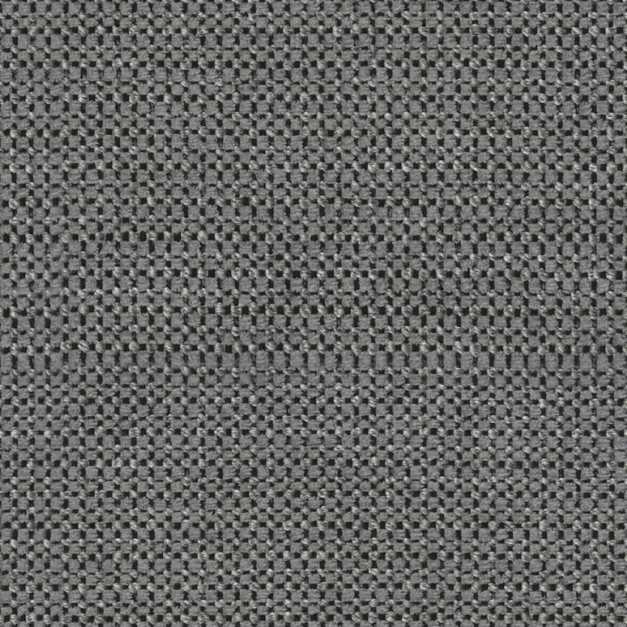 Align_3520_011_Storm_LCrop_Opt