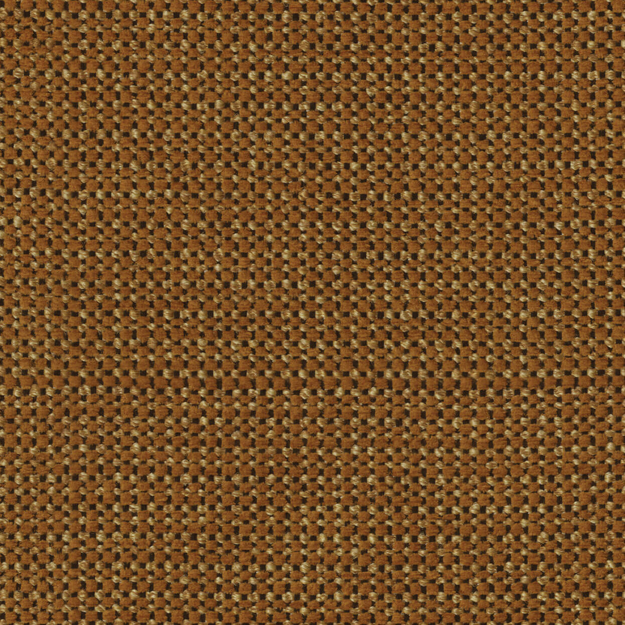 Align_3520_020_Amber_LCrop_Opt