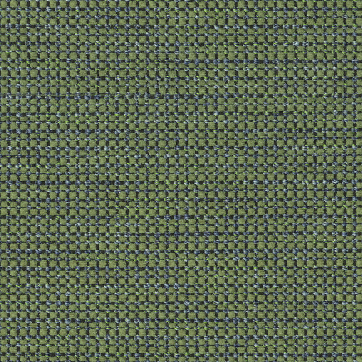 Align_3520_033_Fir Align Fir