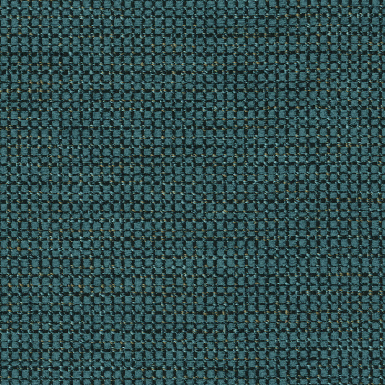 Align_3520_043_Pacific Align Pacific