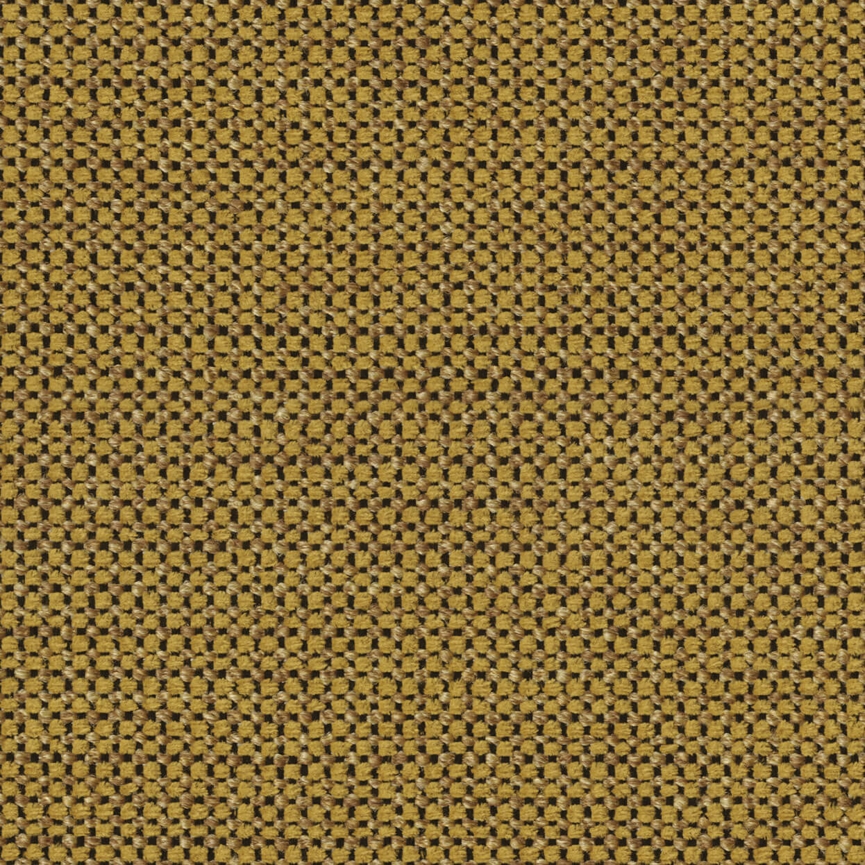 Align_3520_055_Citron Align Citron