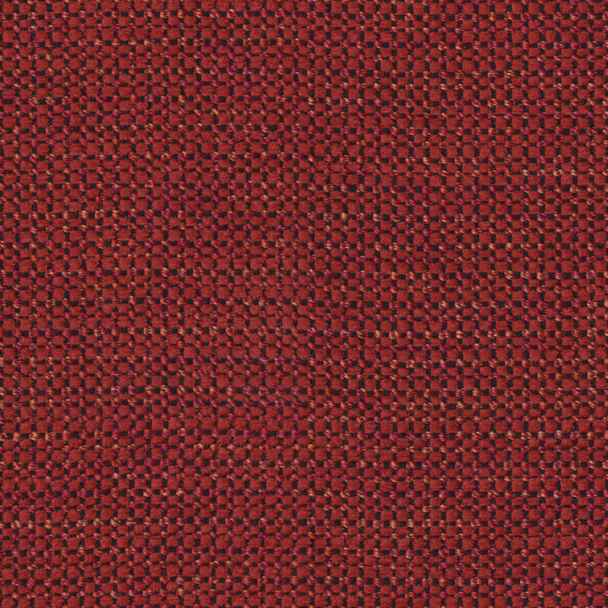 Align_3520_066_Carmine_LCrop_Opt