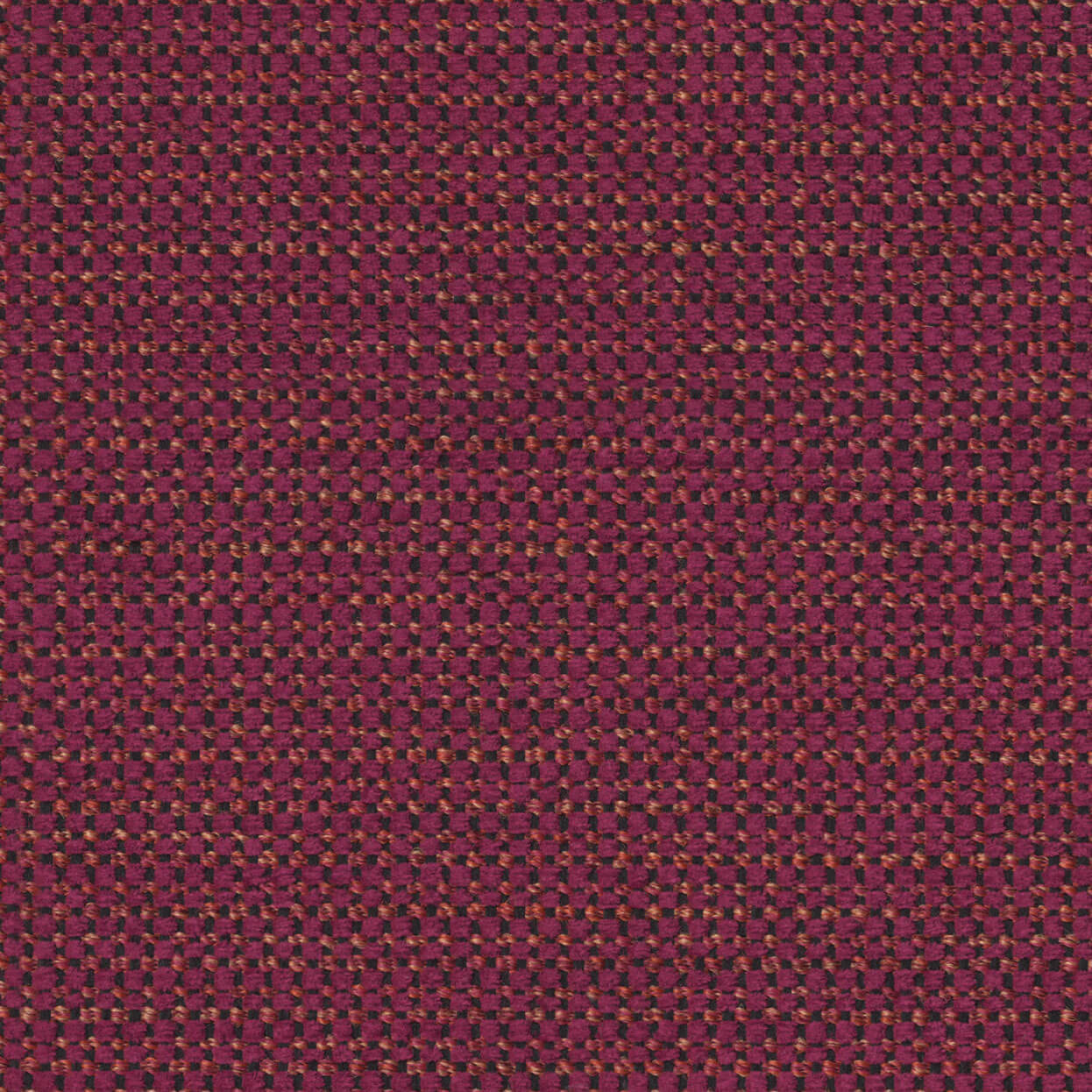 Align_3520_068_Berry