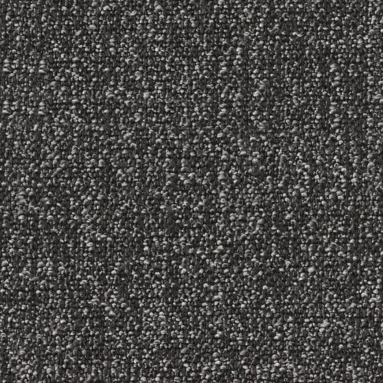 Loop_3519_001_Granite_LCrop_Opt