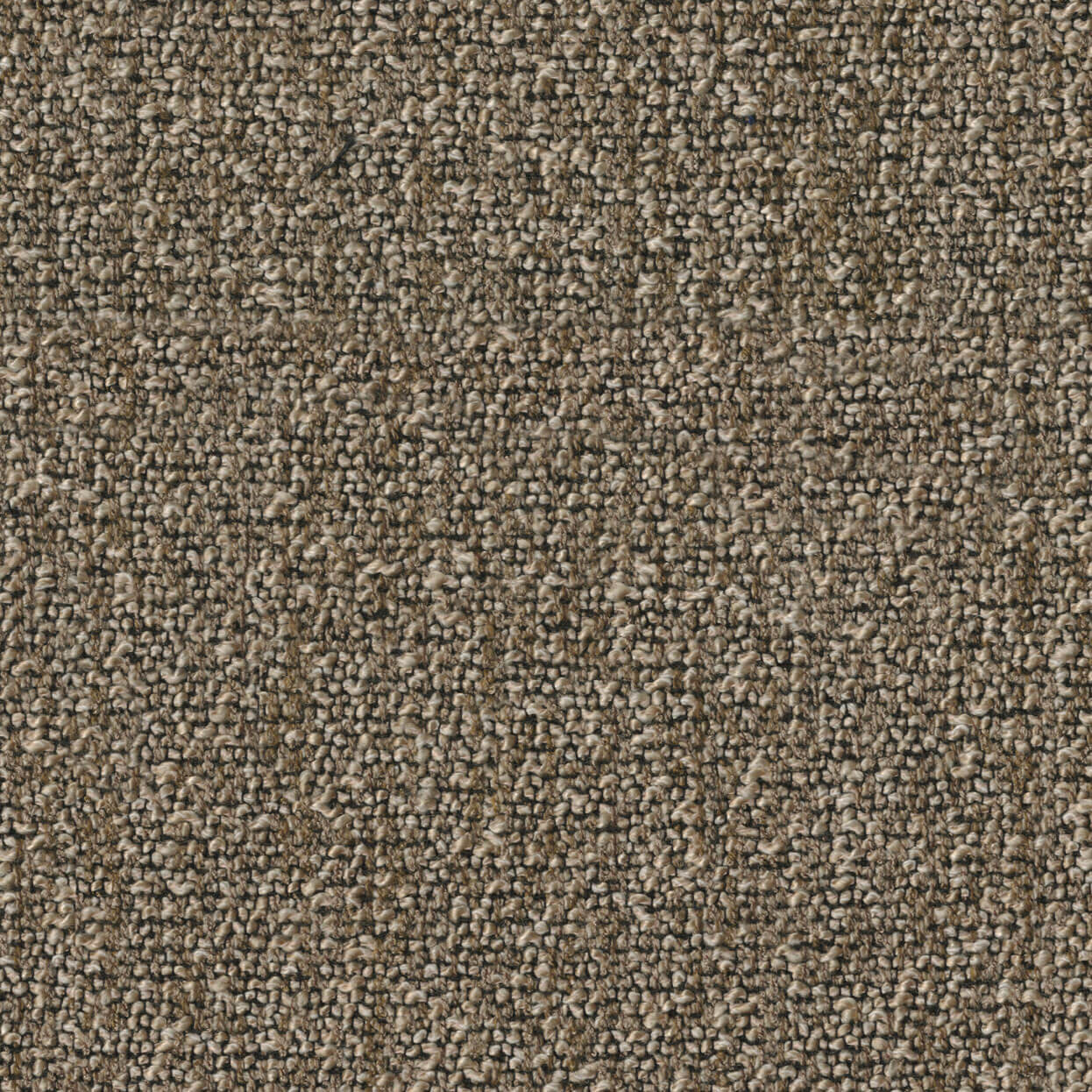 Loop_3519_002_Cashew_LCrop_Opt