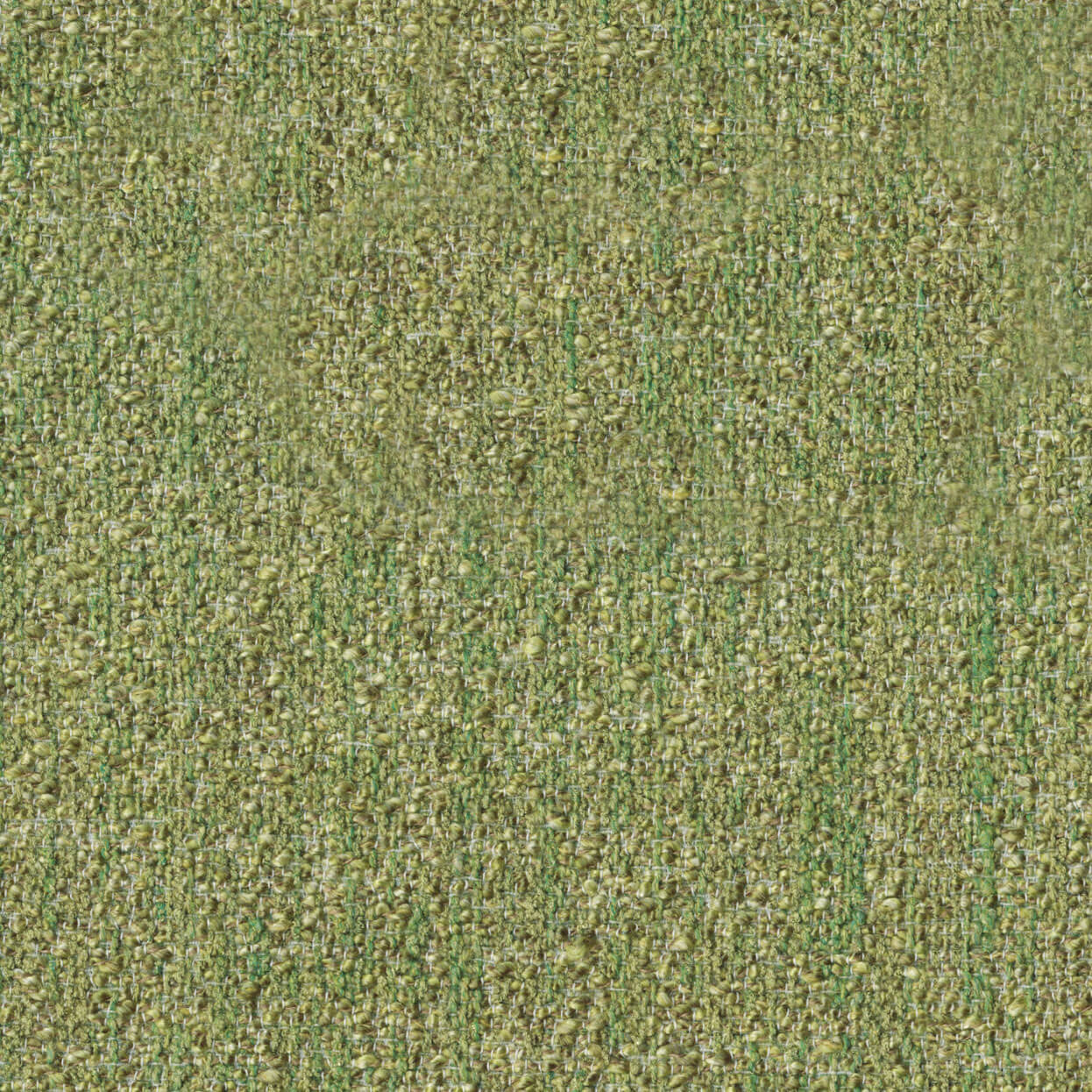 Loop_3519_003_Aloe_LCrop_Opt