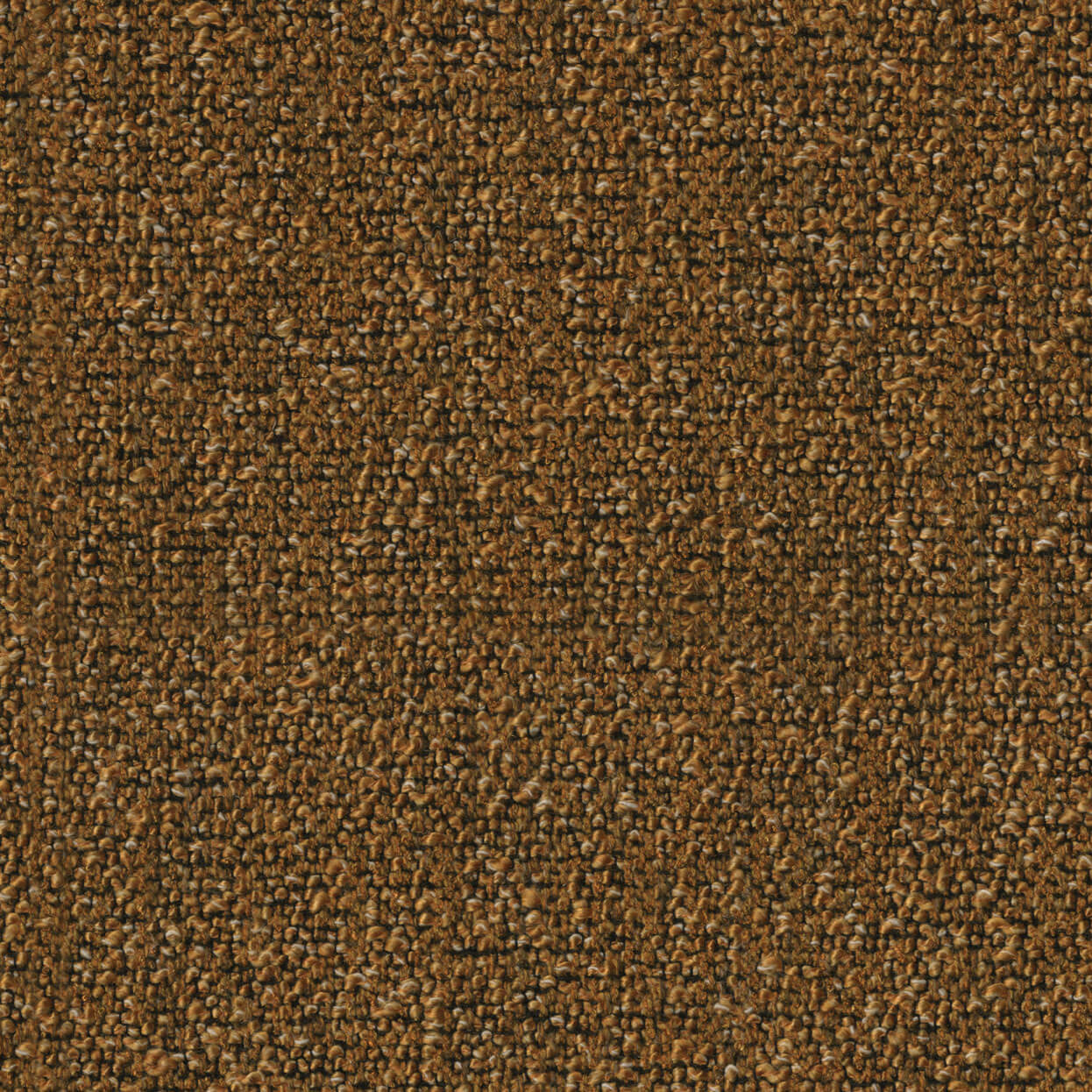 Loop_3519_020_Amber_LCrop_Opt