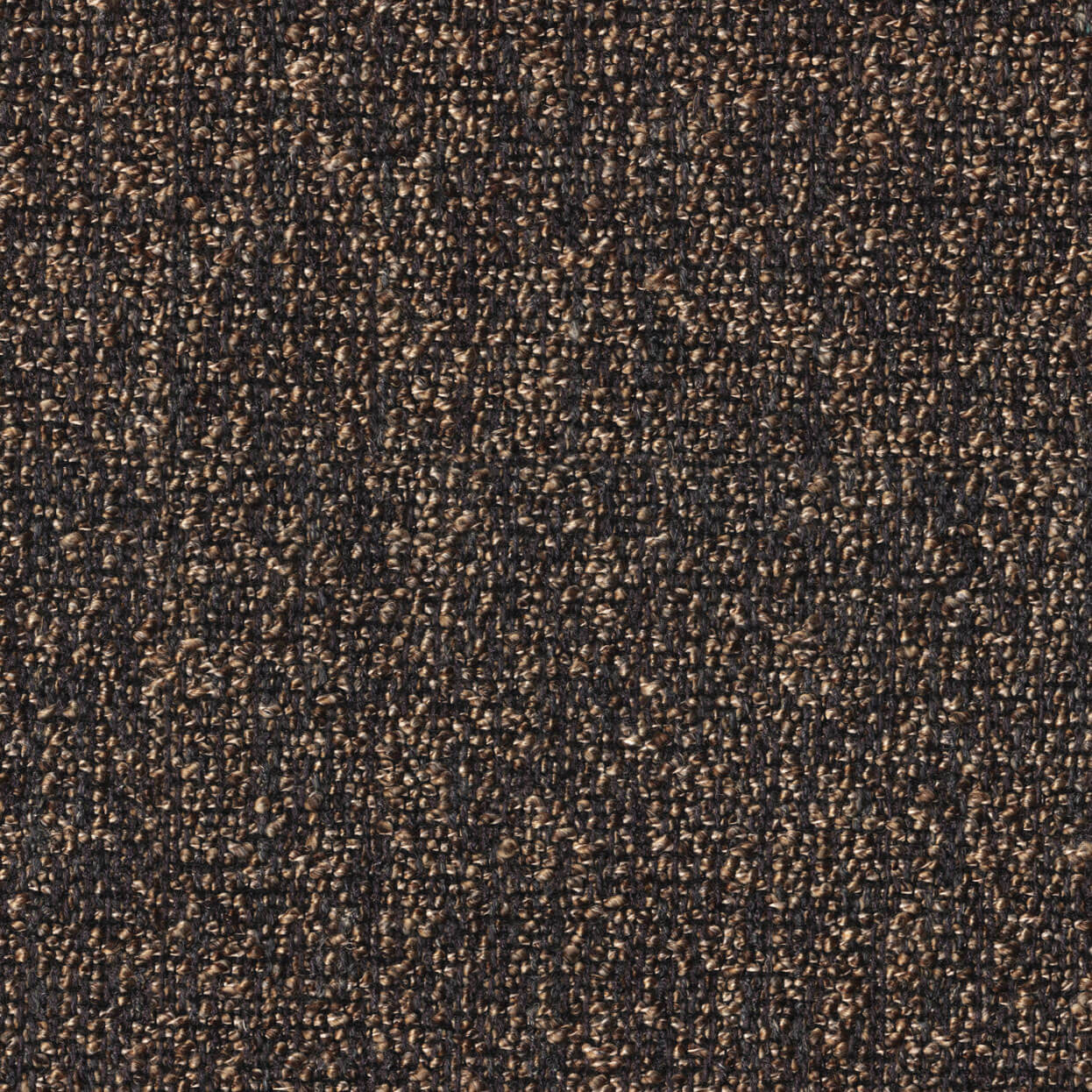 Loop_3519_022_Bay_LCrop_Opt