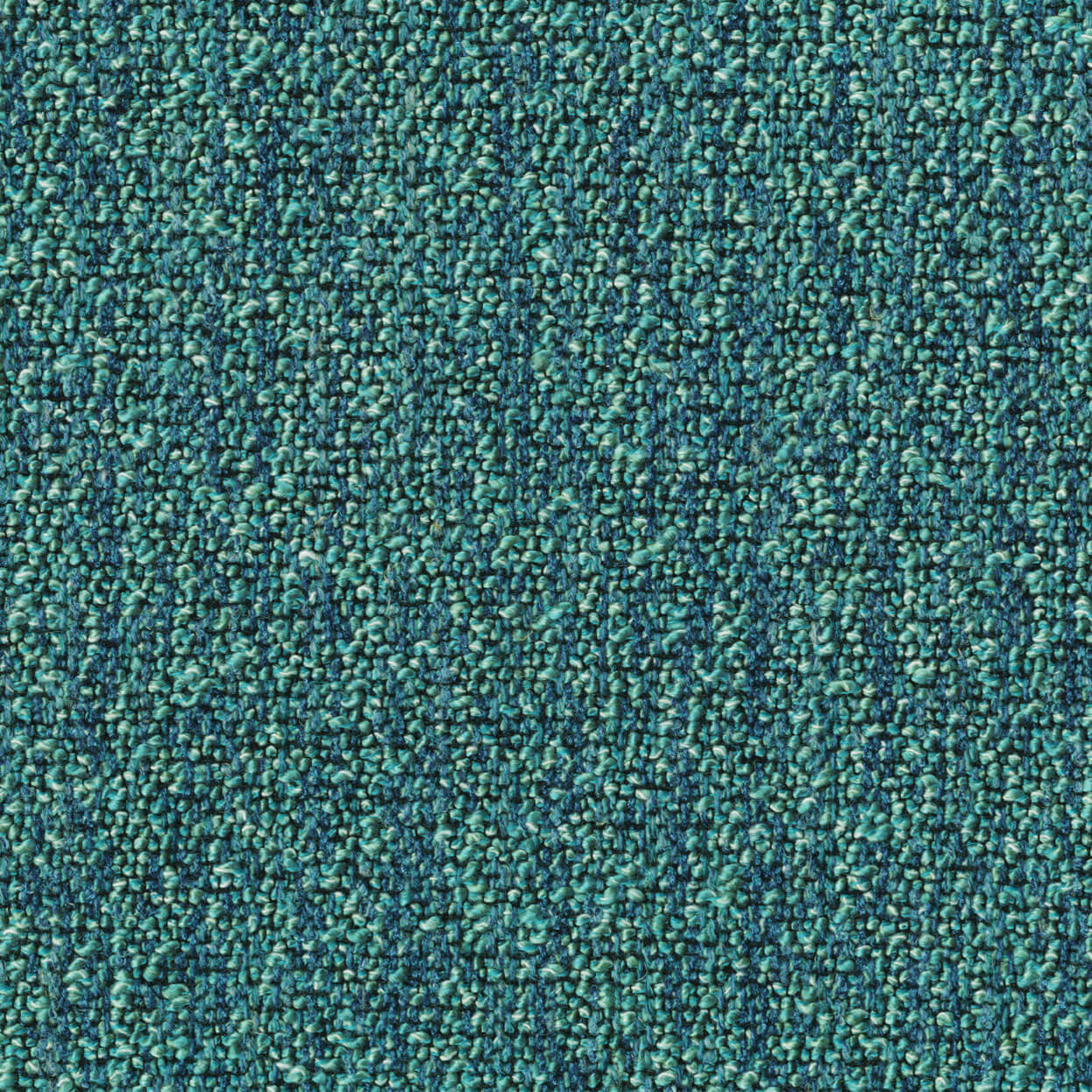 Loop_3519_043_Pacific_LCrop_Opt