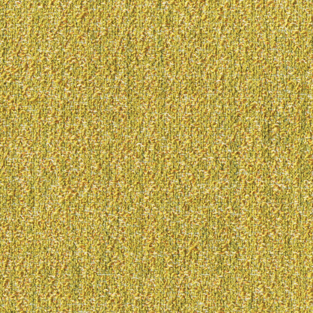 Loop_3519_055_Citron_LCrop_Opt