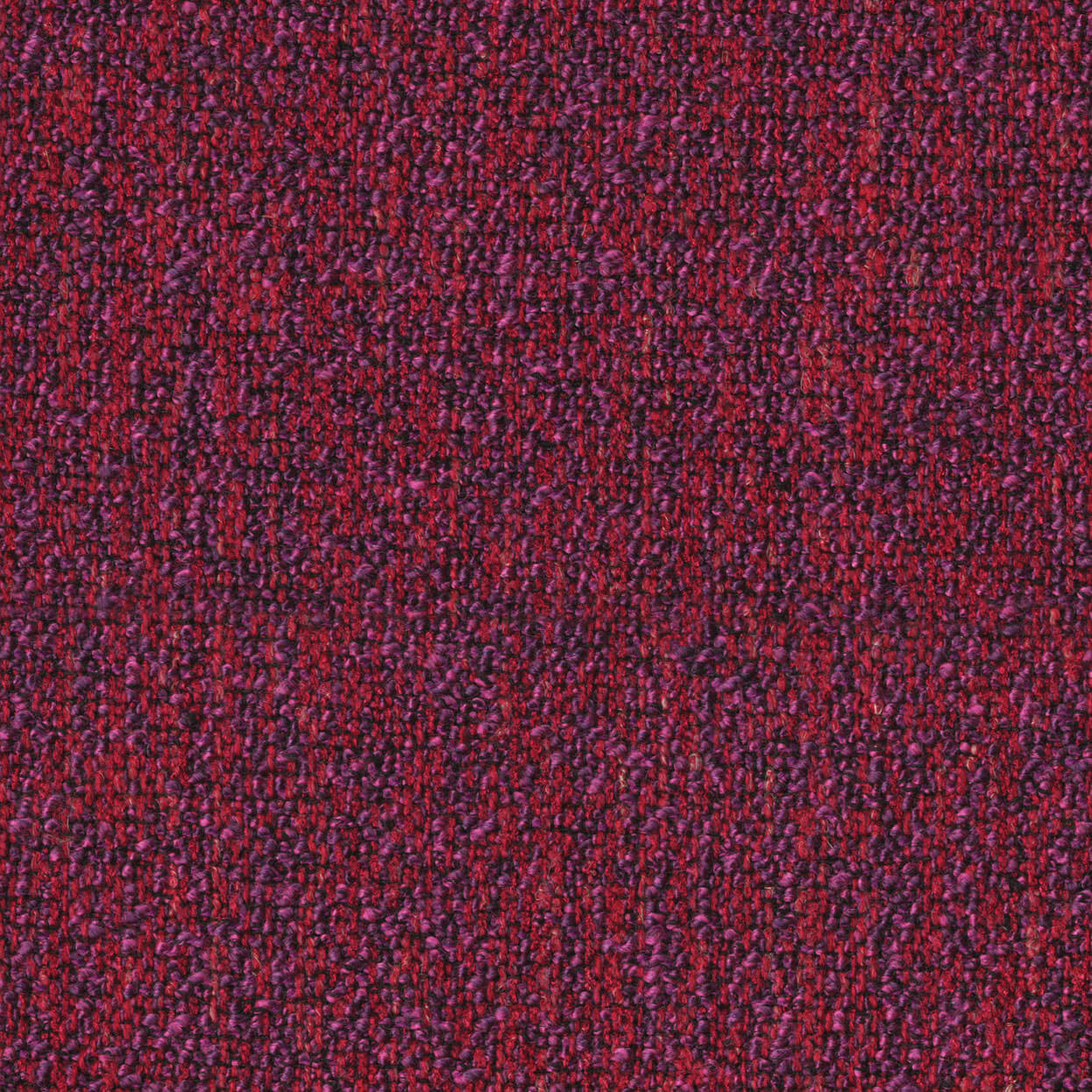 Loop_3519_068_Berry_LCrop_Opt