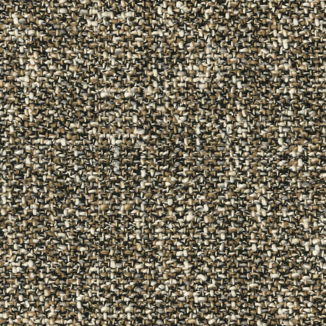 Mirage_3529_002_Bark_LCrop_Opt