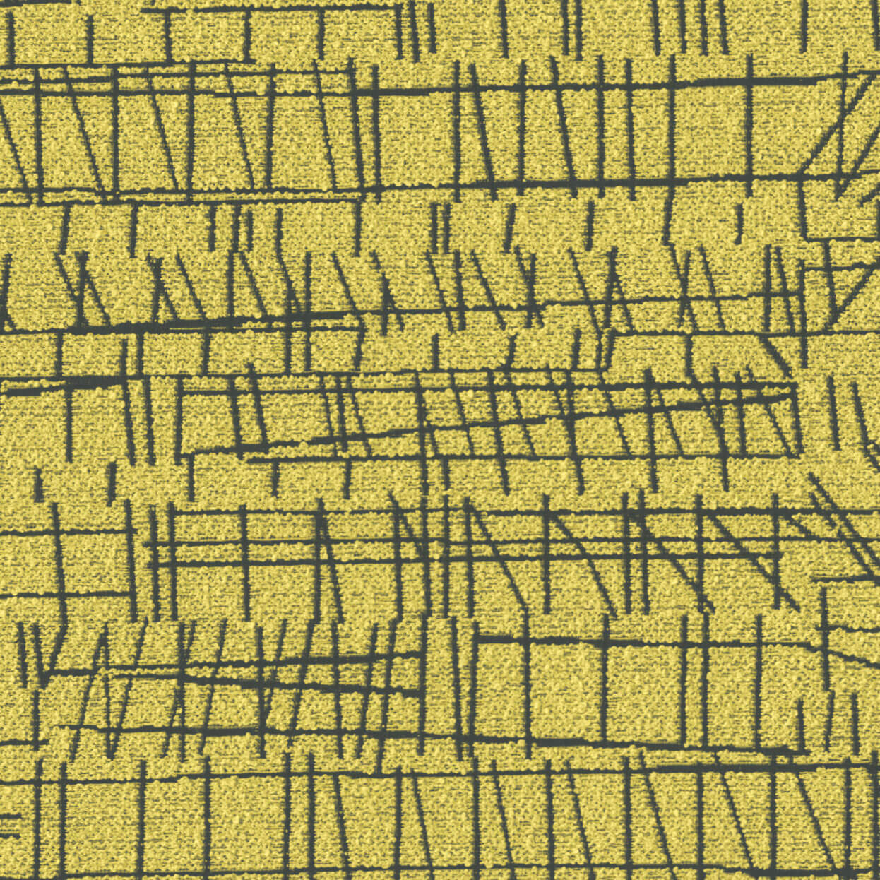 Random_3524_003_Lichen__LCrop_Opt