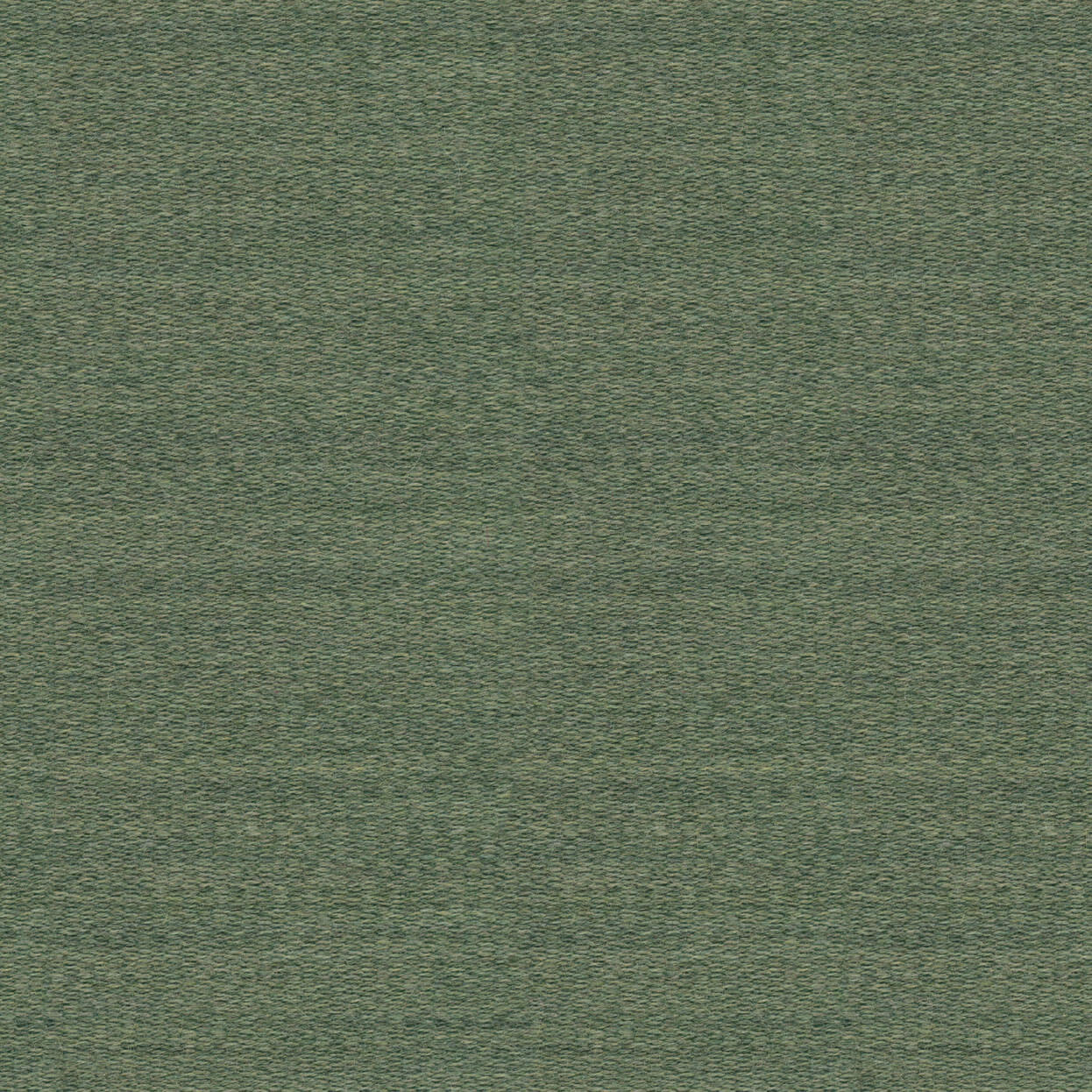 Vivid_3523_003_Sage_LCrop_Opt