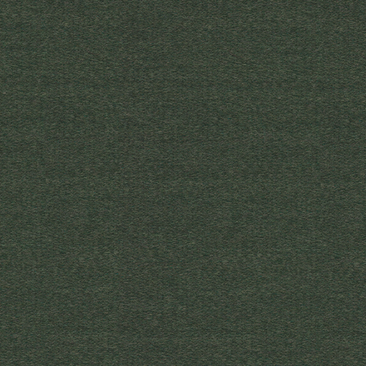 Vivid_3523_033_Spruce_LCrop_Opt