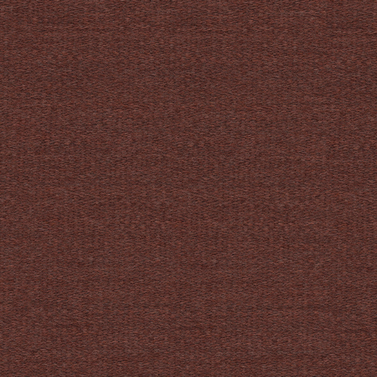 Vivid_3523_077_Cider_LCrop_Opt