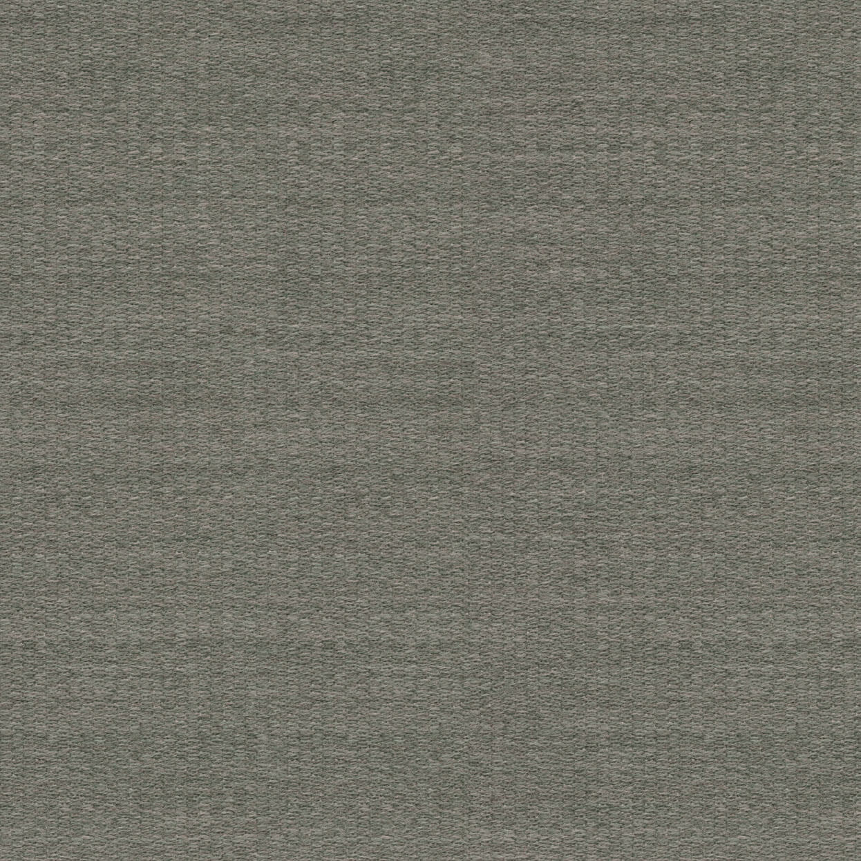 Vivid_3523_100_Cloud_LCrop_Opt