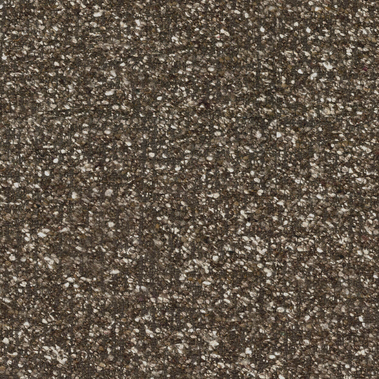 Patina_3537_922_bark_LCrop_OPT