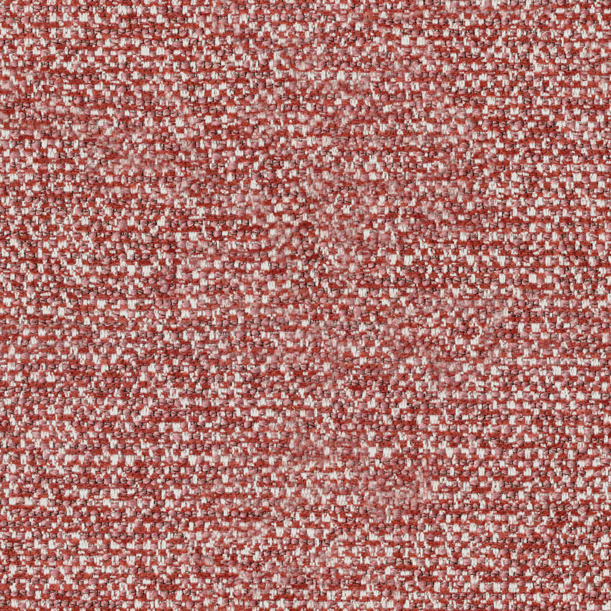 Bella_3539_908_rose_LCrop_OPT