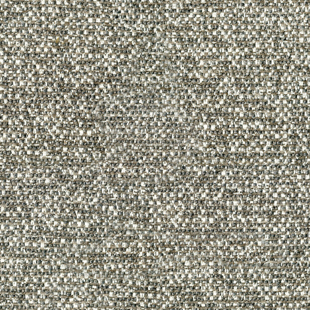 Bella_3539_912_stone_LCrop_OPT