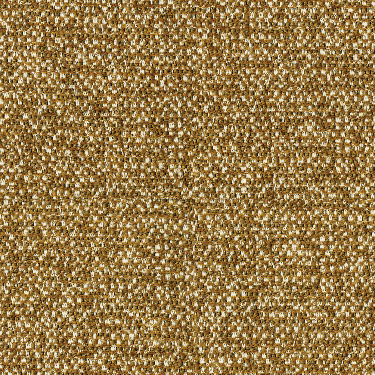 Bella_3539_925_amber_LCrop_OPT