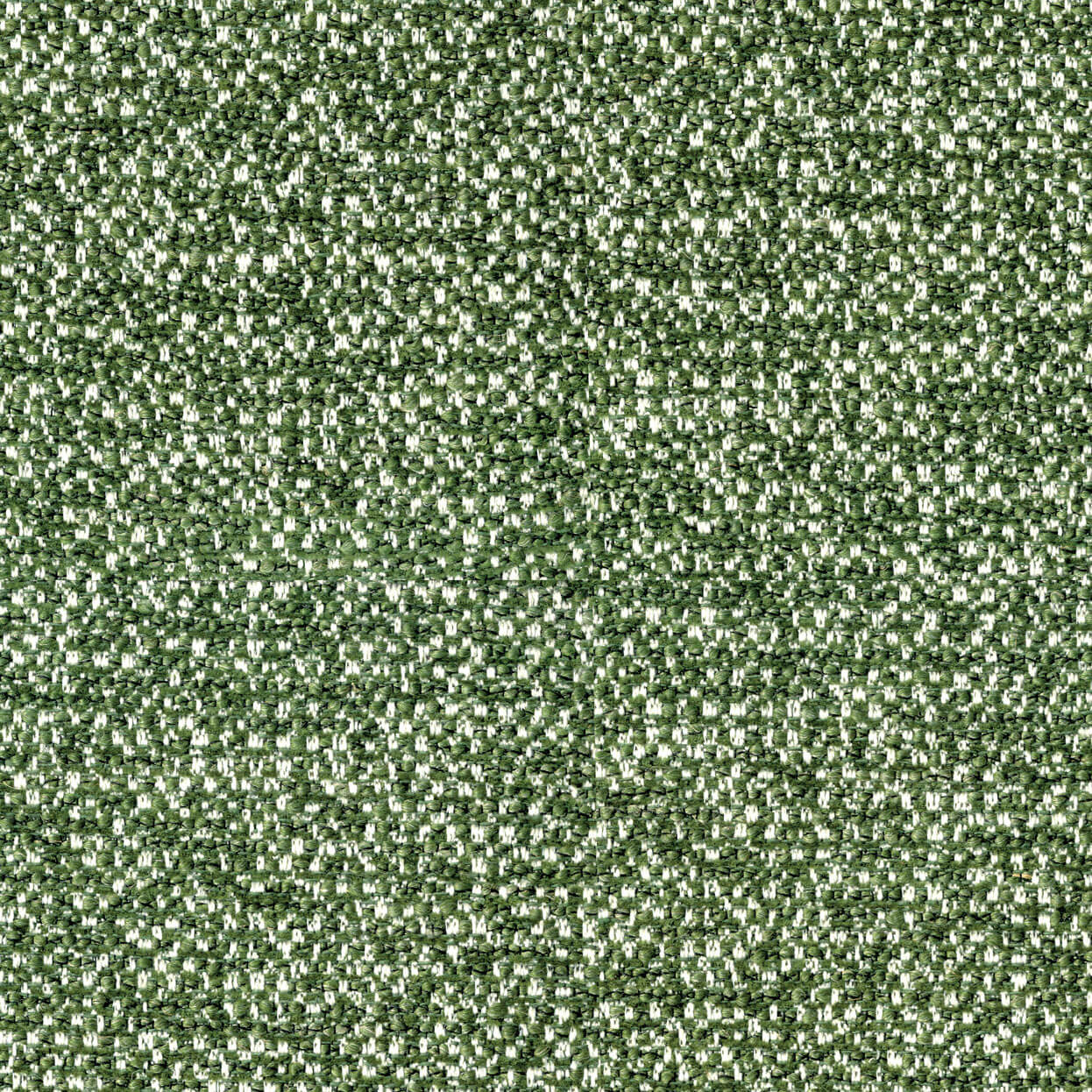 Bella_3539_933_vine_LCrop_OPT