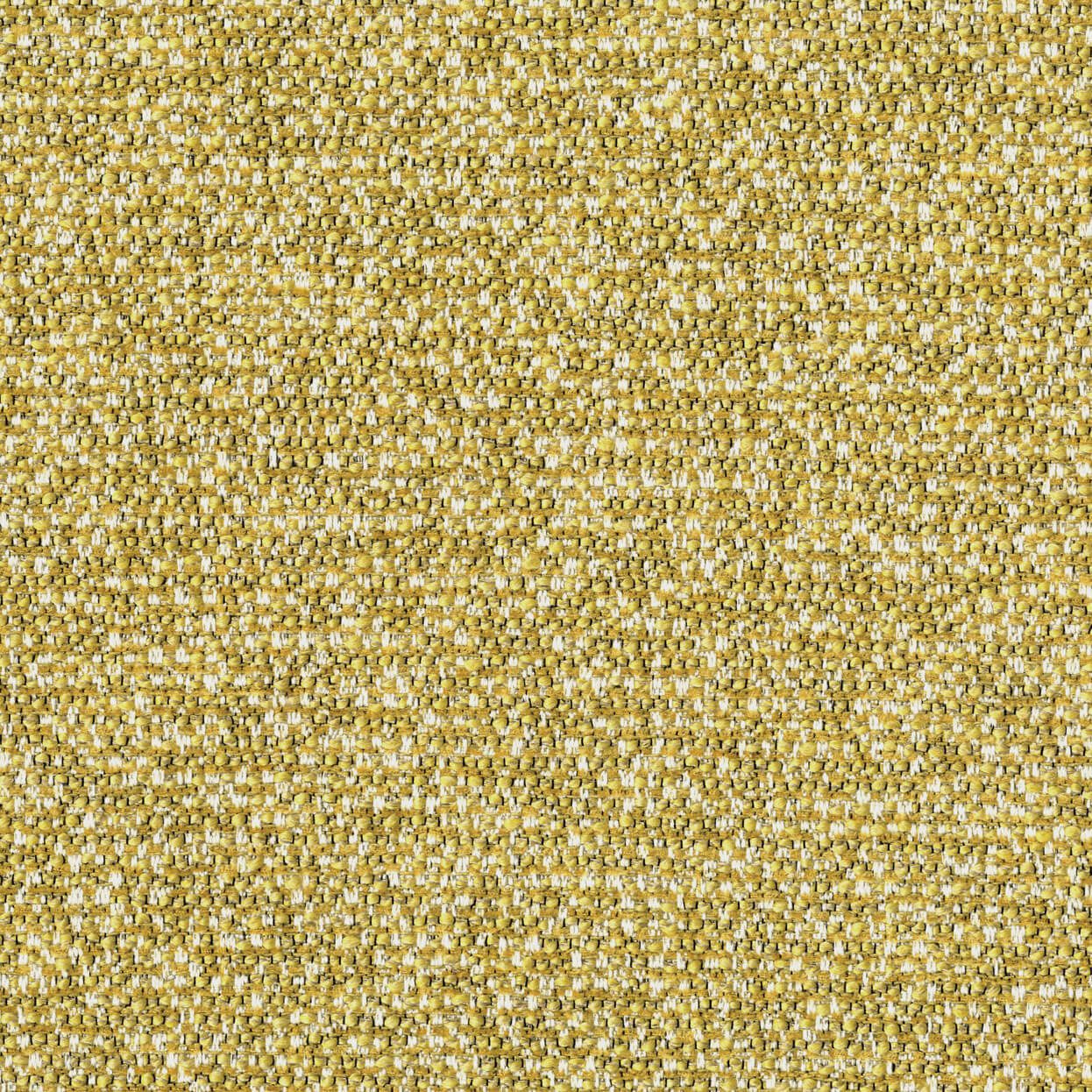 Bella_3539_955_sun_LCrop_OPT