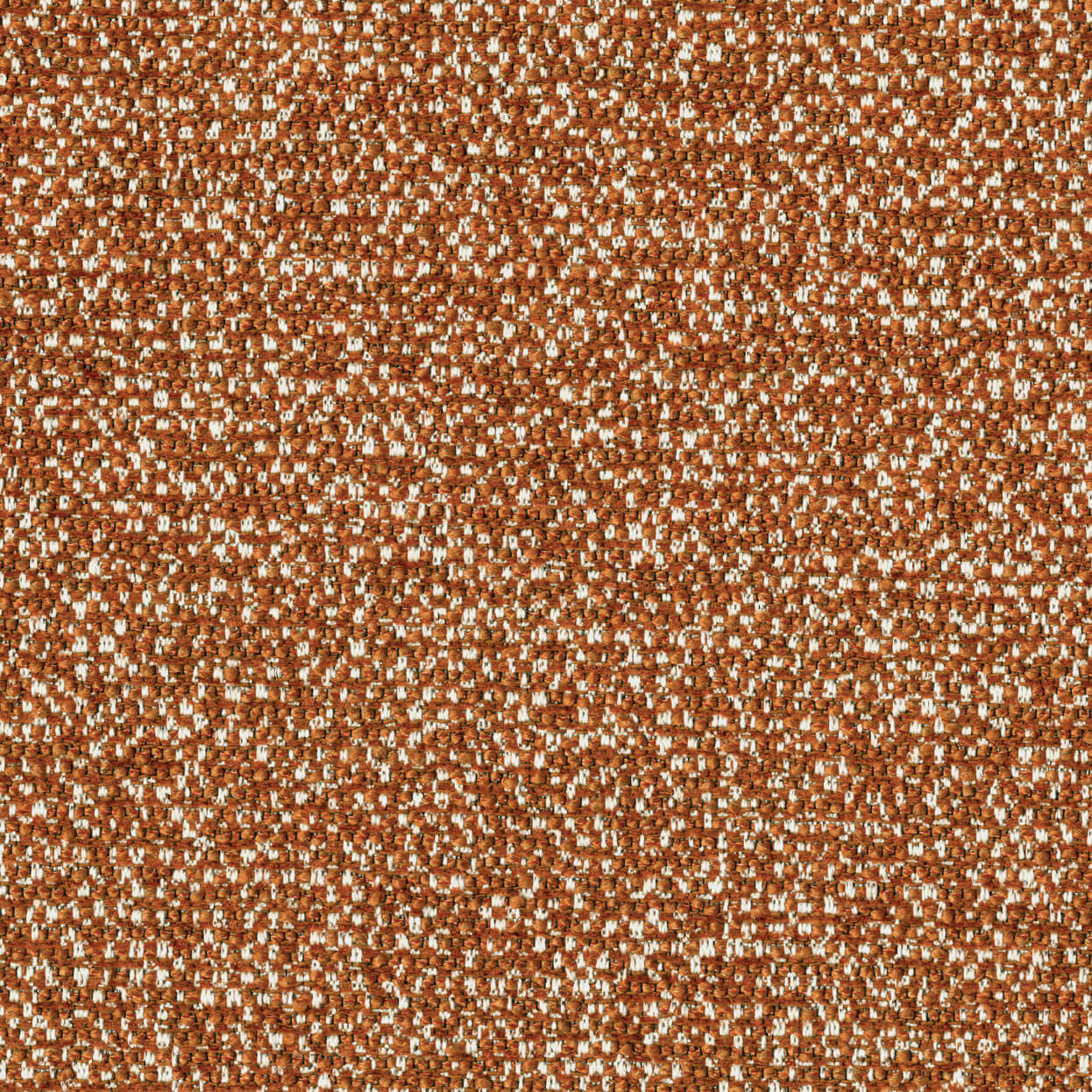 Bella_3539_977_terra_LCrop_OPT