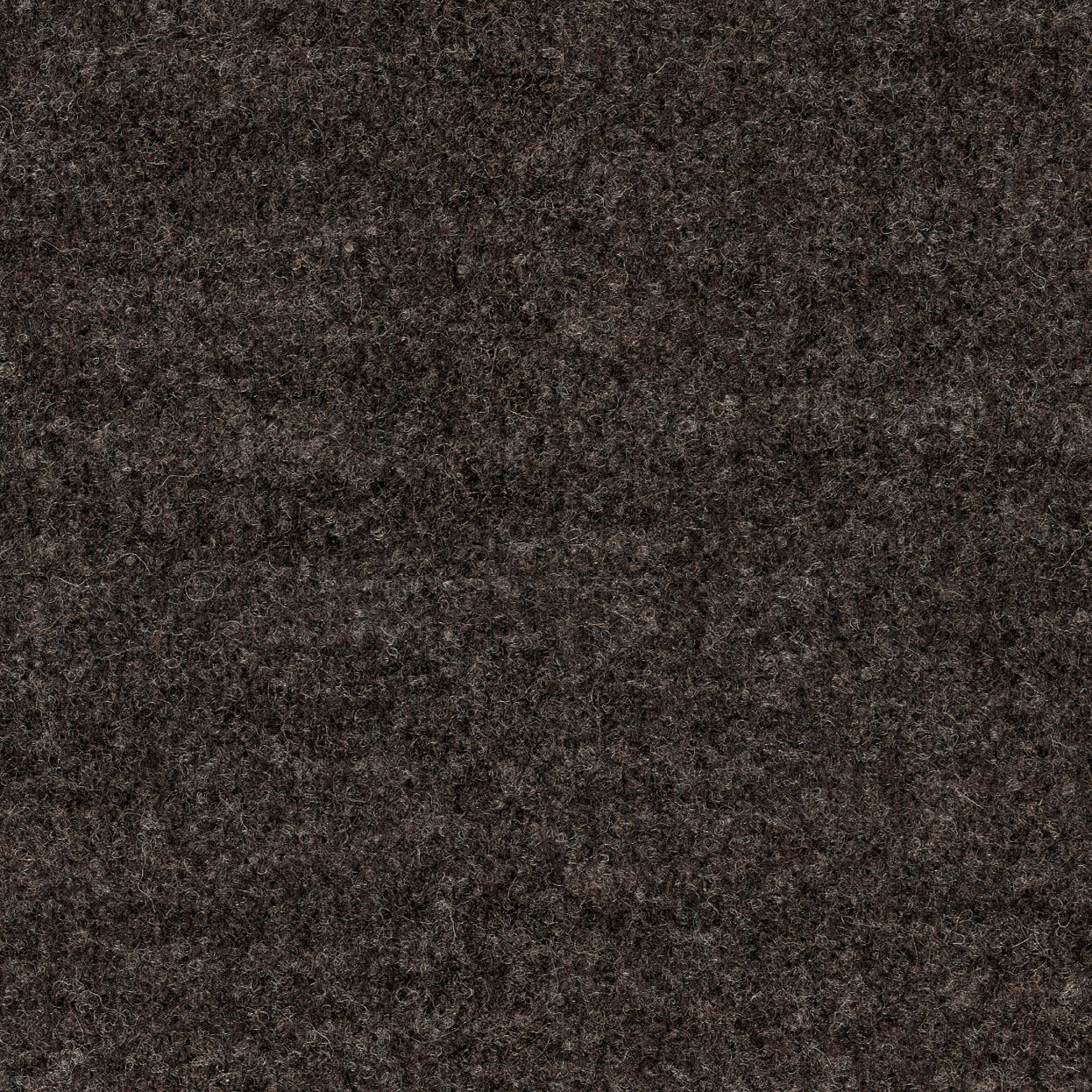 Cielo_3536_022_branch_LCrop_OPT