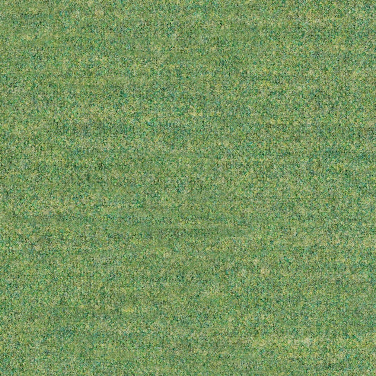 Cielo_3536_033_seagrass_LCrop_OPT