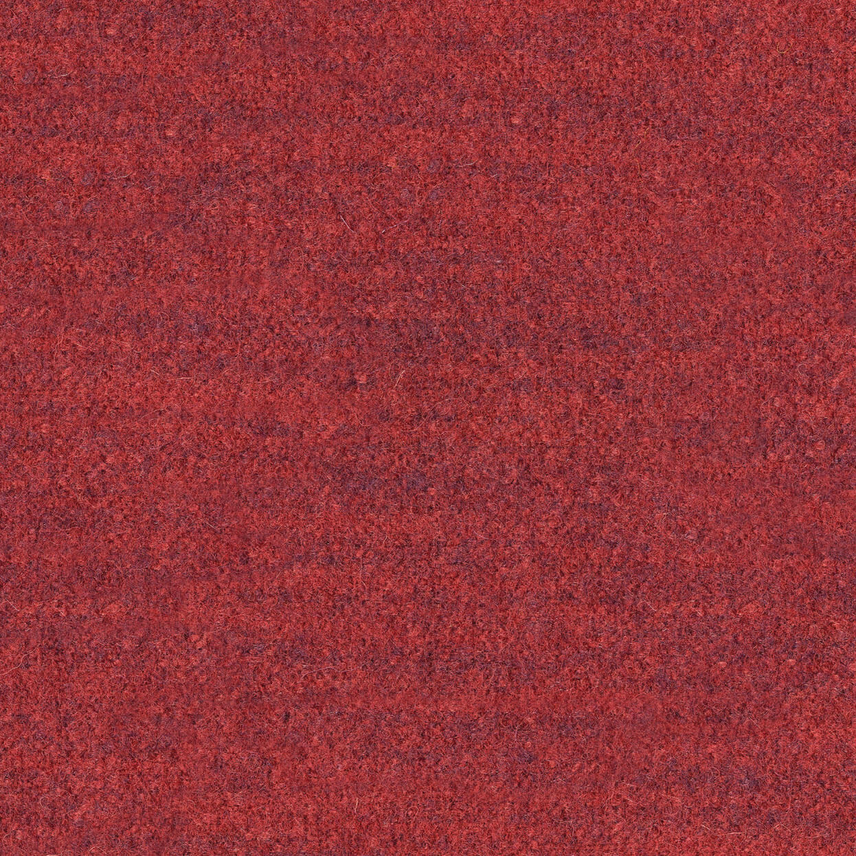 Cielo_3536_066_sunset_LCrop_OPT