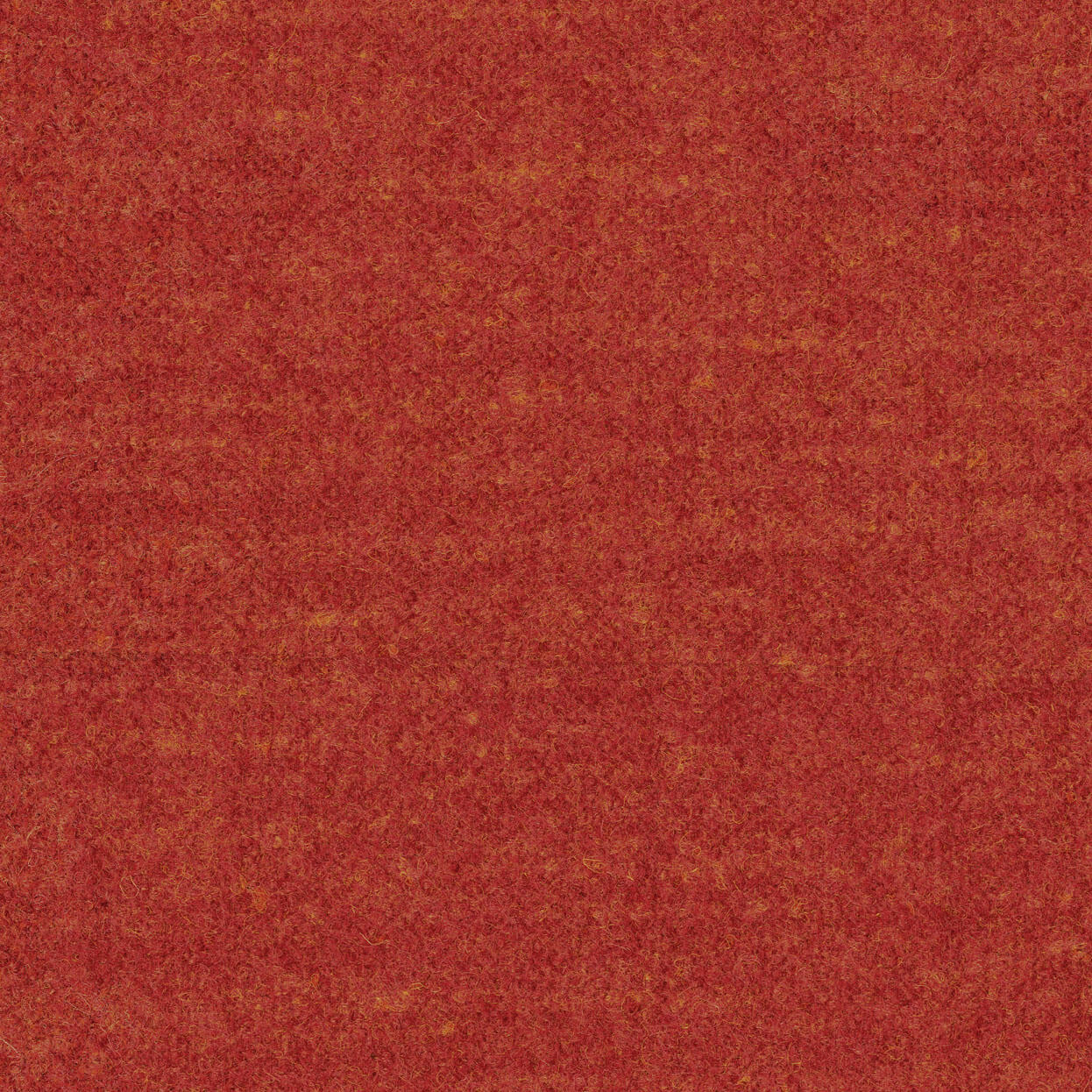 Cielo_3536_077_flame_LCrop_OPT