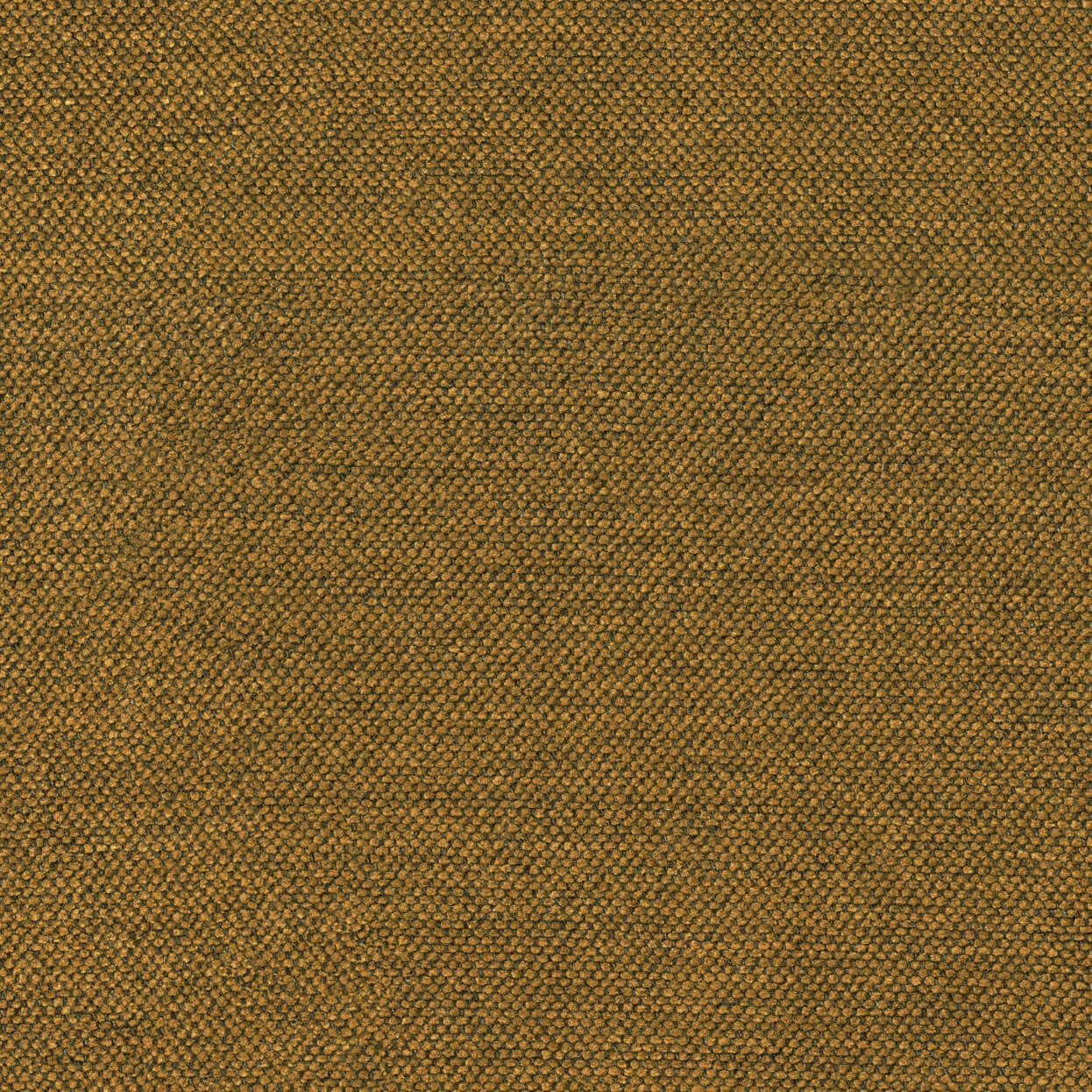 Sereno_3538_025_ochre_LCrop_OPT