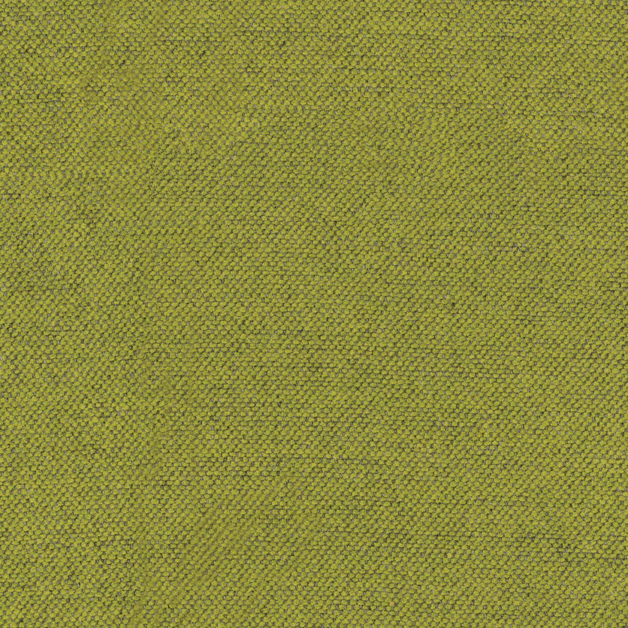 Sereno_3538_033_sprout_LCrop_OPT