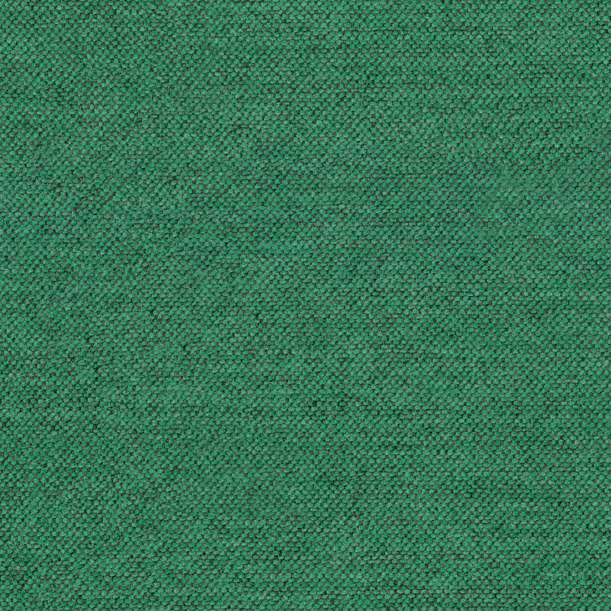 Sereno_3538_034_jade_LCrop_OPT