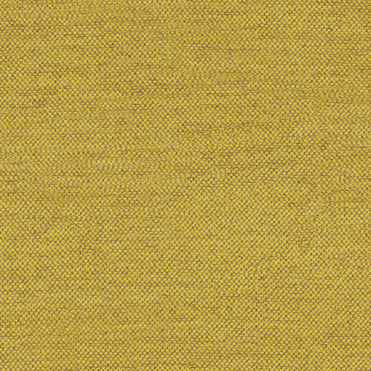 Sereno_3538_055_sun_LCrop_OPT