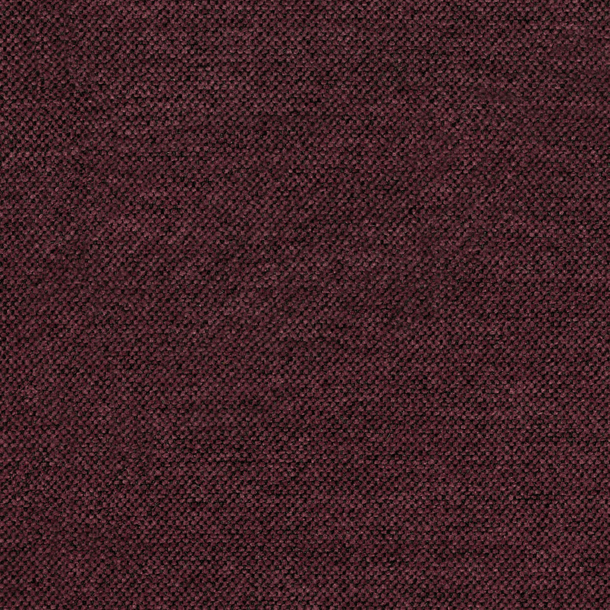 Sereno_3538_088_fig_LCrop_OPT