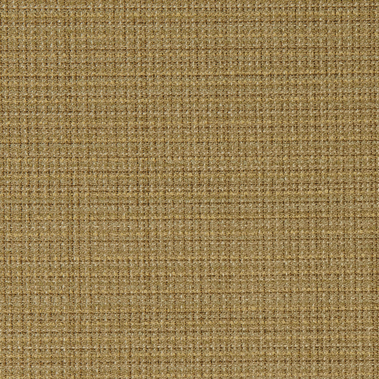 Sketch_3548_925_Bamboo_LCrop_OPT