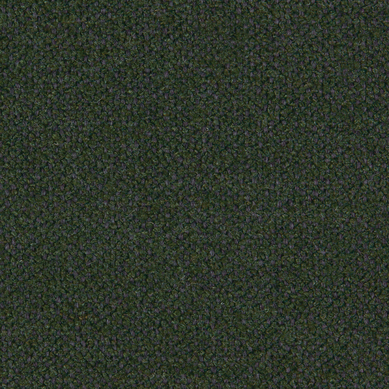 Chunky_3551_033_Forest_LCrop_OPT