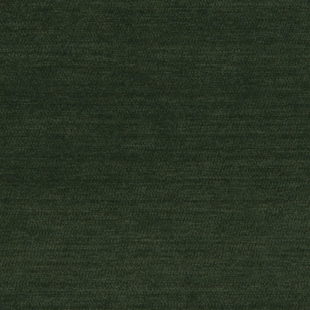 Plush_3550_033_Forest_LCrop_OPT