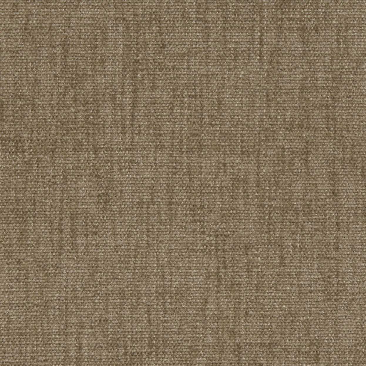 Soft_3553_020_Mushroom_LCrop_OPT